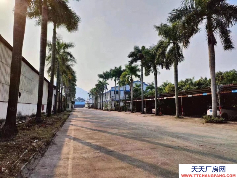 (出租) 廣州肇慶現有噴漆環評噴漆房廠房出租10萬平方3000平方起分租。