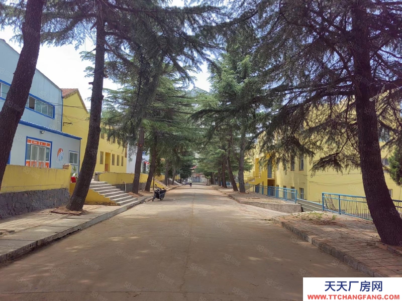 (出租) 小院獨(dú)棟可建廠，有煤氣，