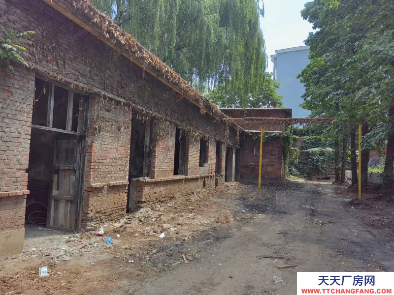 (出租) 小廠房出租獨門獨戶小院500平