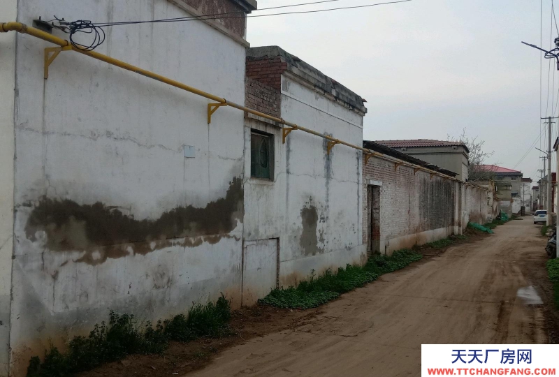 邯鄲 邯山 現(xiàn)有獨立小院對外出租