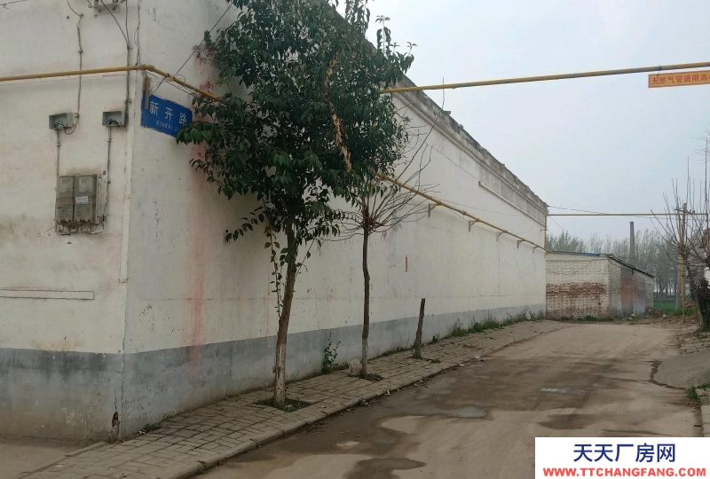 邯鄲 邯山 現(xiàn)有獨立小院對外出租