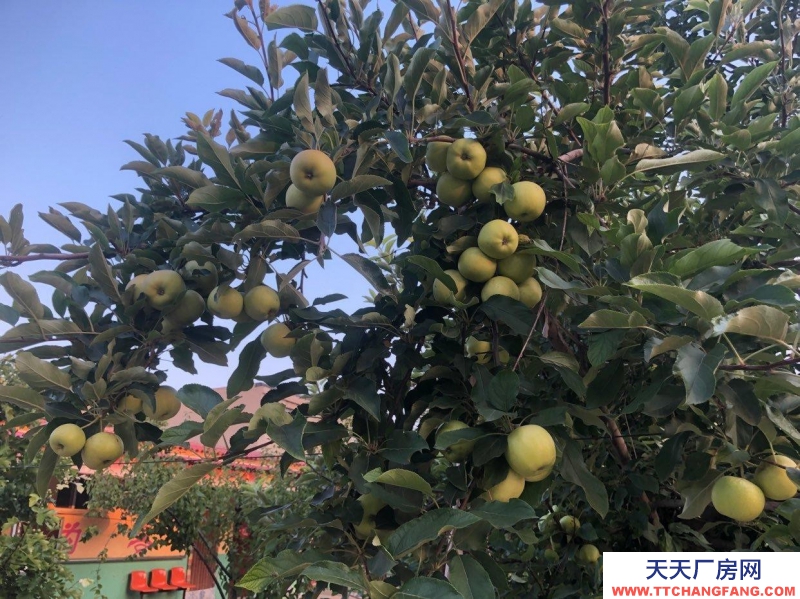 邯鄲 邯山 可，可辦公，位置優越，附近多家醫院，超市，廣場