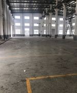 (出租) 奉賢柘林獨門獨院8000平米大小好分租