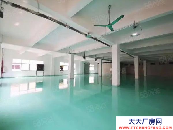 威海環(huán)翠現(xiàn)房出售 面積1200平至4000平可選 可生產(chǎn)環(huán)評首付兩成