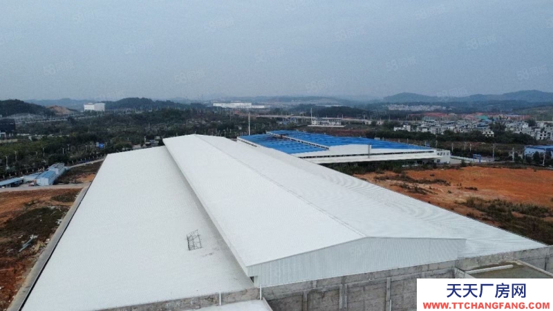 (出租) 柳州魚峰柳東10000多平廠房30畝地租18元平(含稅)