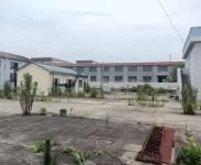 (出售)奉賢 莊行198板塊,占地26.5畝,價格4000個W,可以翻新重