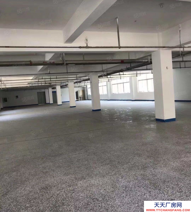 溫州瑞安(出售) 房東誠心出售瑞安陶山6畝建筑證4000平方獨(dú)門獨(dú)院廠房形象好