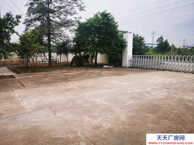 (出租) 廣州肇慶廠(chǎng)房空地多，具體詳情請(qǐng)面議。