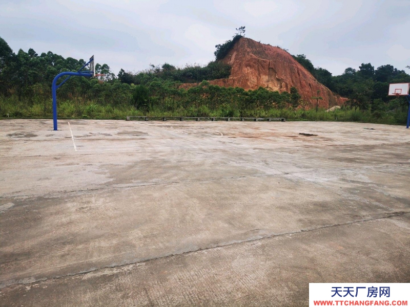 (出租) 廣州肇慶廠(chǎng)房空地多，具體詳情請(qǐng)面議。