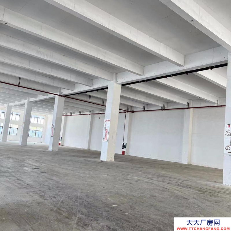 (出租) 柳州柳南河西工業(yè)園螺螄粉孵化園一樓2200平標準廠房