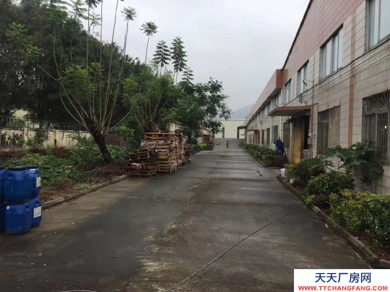 (出租) 廣州肇慶高要國道邊可辦環(huán)評交通便利單一層廠房
