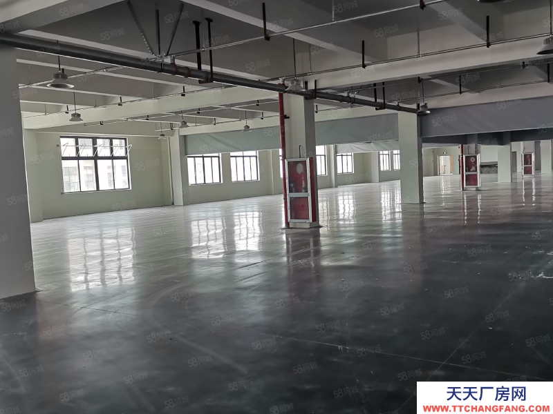 溫州樂清(出租) 中心大道邊上標準廠房，形象佳，院子大