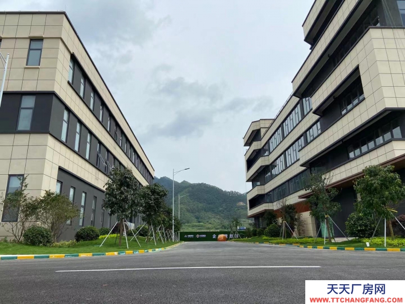 (出售) 廣州肇慶標準廠房（現房），五十年產權，三成首期。