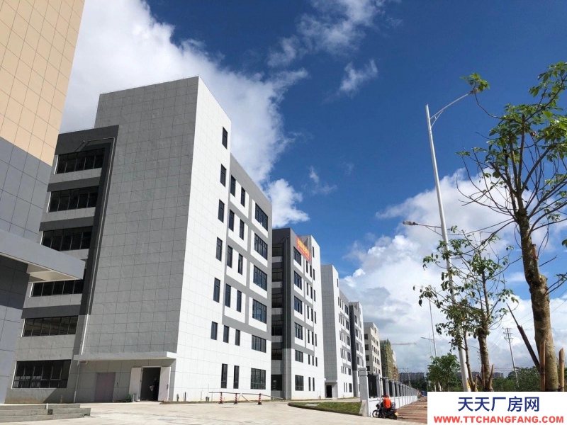 (出售) 廣州肇慶四會現(xiàn)房！1千方起售，環(huán)評，消防包辦，產(chǎn)權(quán)50年！