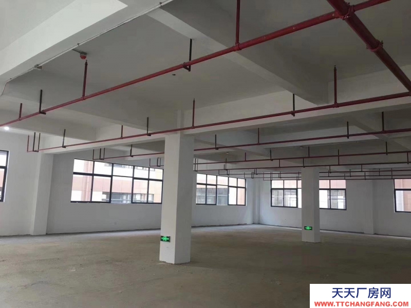 (出售) 廣州肇慶四會現(xiàn)房！1千方起售，環(huán)評，消防包辦，產(chǎn)權(quán)50年！