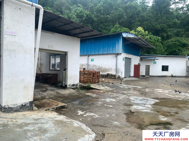 (出售) 廣州肇慶高要南岸西環山邊 廠房出售 價格便 位置靚