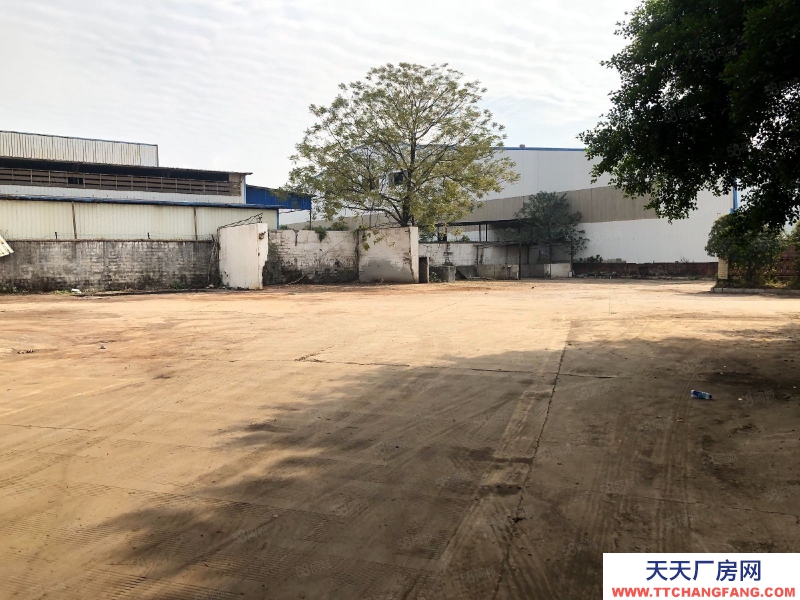 (出租)柳州柳北區 白露倉庫廠房出租，有行吊，可通掛車，可分租，租金可談