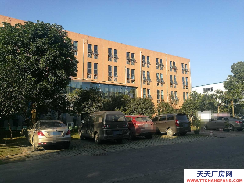 (出租) 柳州柳江出租新興工業園鋼結構廠房