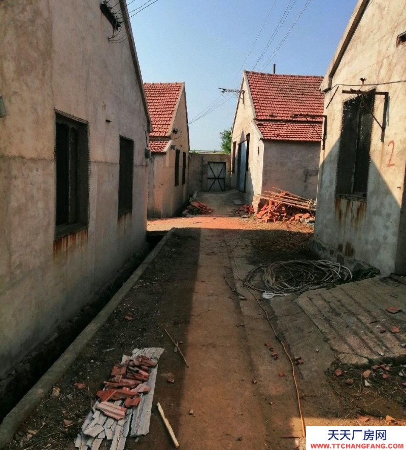 威海文登養殖場建設價出租出售