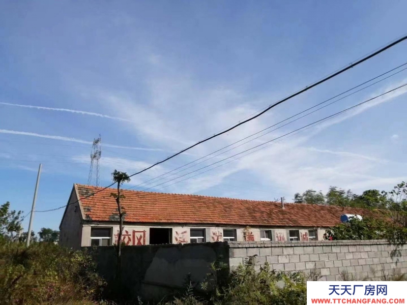 威海出售文登市區校房舊址