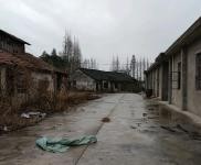 (出售) 崇明區(qū)新河鎮(zhèn)新隆村廠房