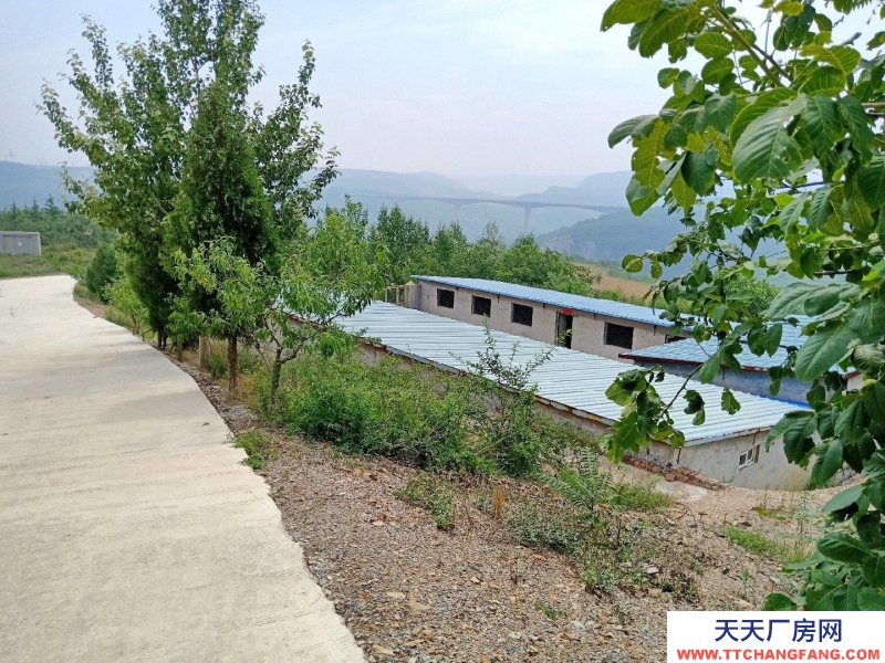 (出租) 成熟山莊，大箕鎮，辦公，有果樹、綠化、房屋、廠房、魚池等等