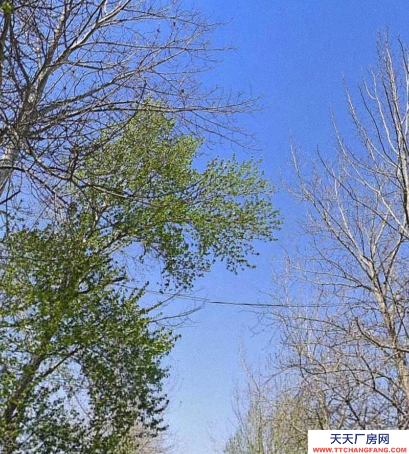 (出租) 交通方便，證件齊全，有大型變壓器，