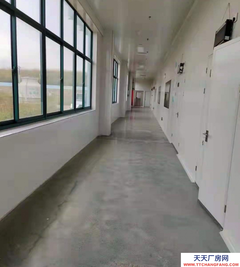 威海乳山 精裝修餅干糕點食品車間