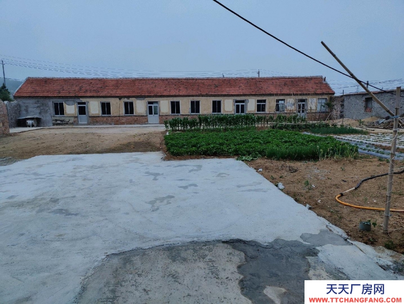 威海乳山適合做廠房、倉庫等，帶大院，三相電、水齊全