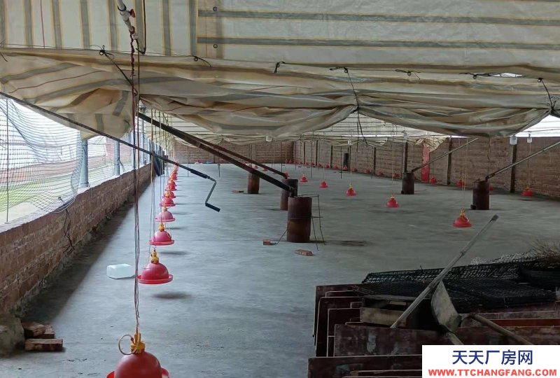 (出租)柳州柳城縣 廠房位于柳城縣東泉鎮洲村,總面積1850平方,屬于。