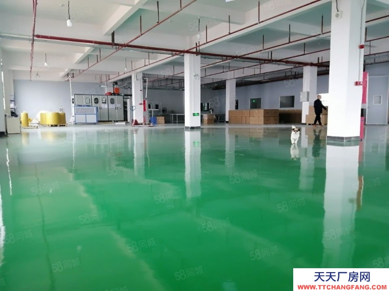 (出租) 清遠清城區石角帶印刷環評高標廠房出租