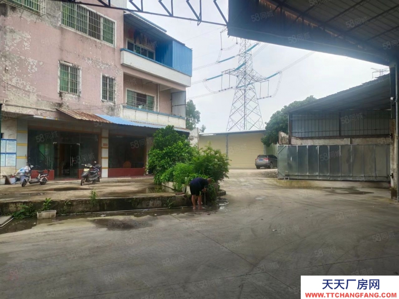 (出租) 清遠龍塘獨院廠房火熱招租，只要6元一方