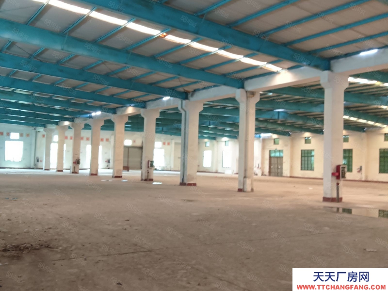 (出租) 清遠清新市中心，大路邊，單層廠房，磚混結構，方正實用