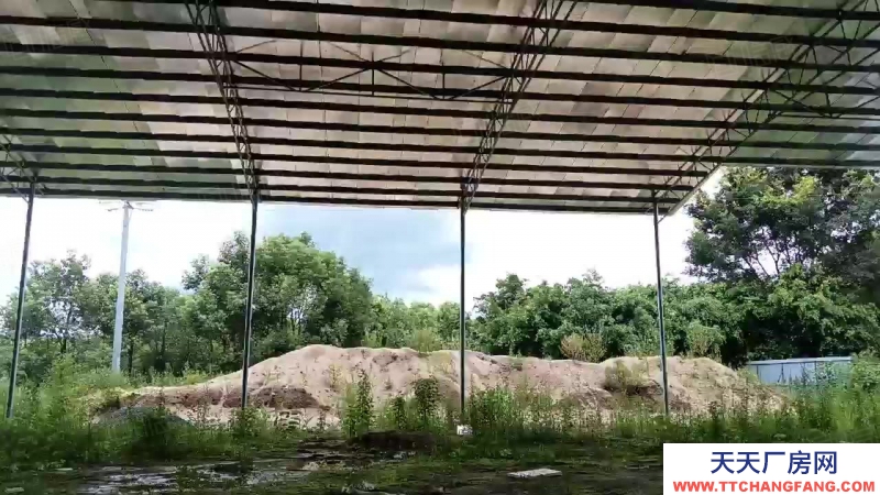 (出租) 清遠(yuǎn)8000方，月租4.2萬，適合多種輕污行業(yè)，1260千瓦