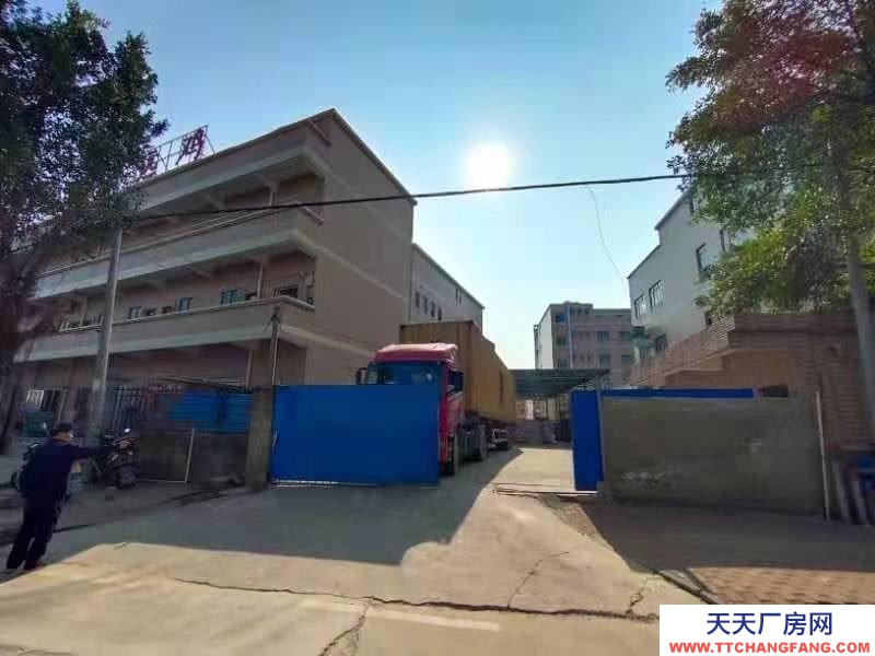 (出租) 單清遠(yuǎn)層2000方3層共6000方倉庫廠房宿舍單層360方