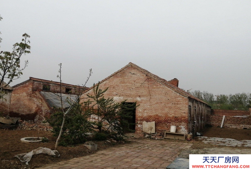 (出租) 交通便利，帶大院，價格美麗