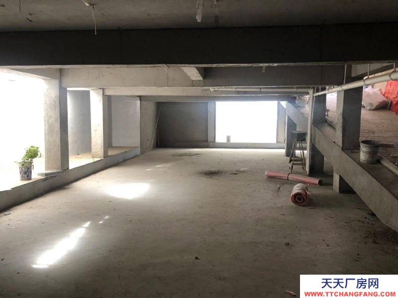 (出租) 出入方便 門口寬敞