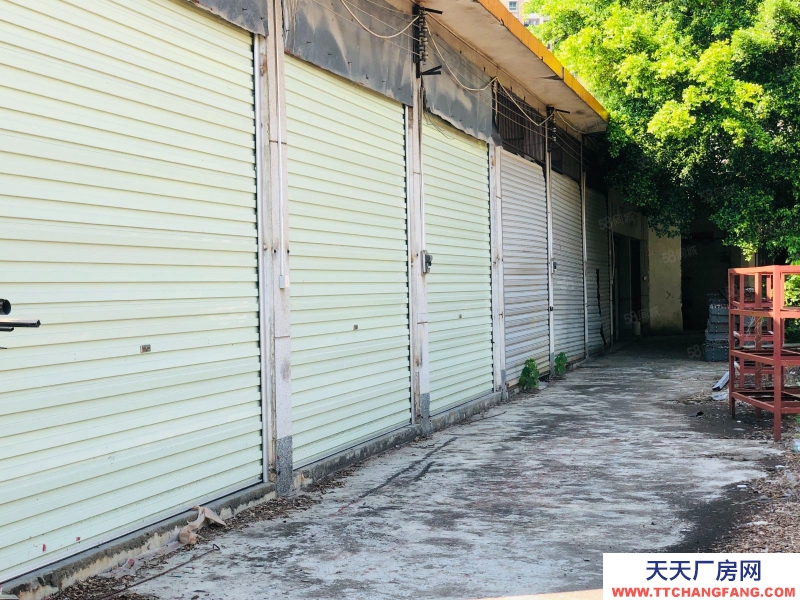 (出租) 清遠(yuǎn)市區(qū)，獨門獨院，單層廠房，4500方僅2.5萬