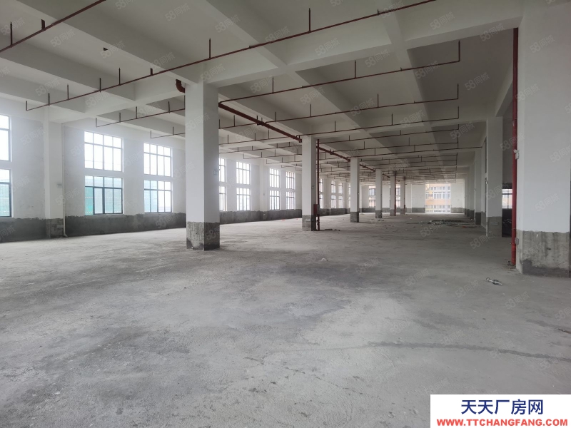 (出租) 清遠(yuǎn)市清新區(qū)太平鎮(zhèn)電渡 電泳 退渡工業(yè)園廠房出租 有電渡環(huán)評