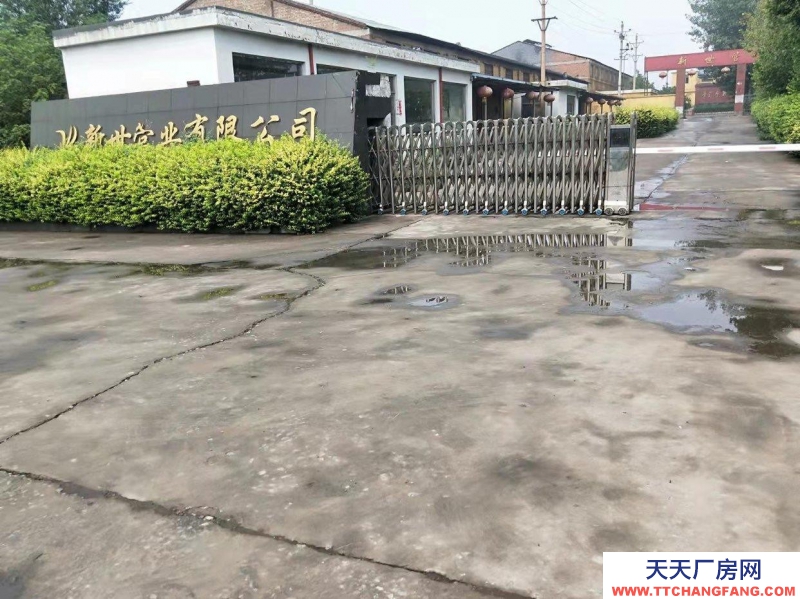 邯鄲 復興  1個獨立廠房300平