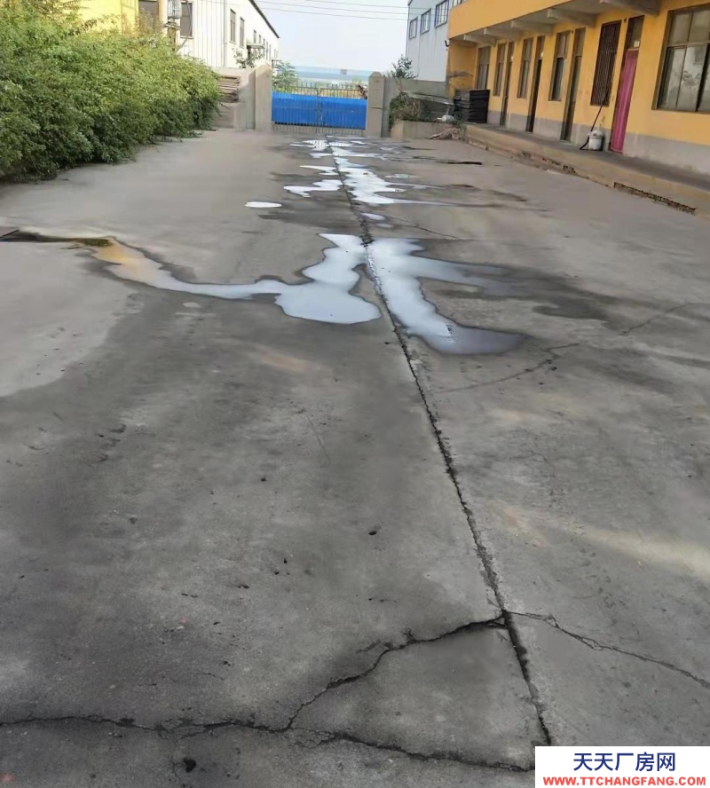 邯鄲 復興  1個獨立廠房300平