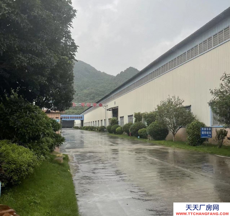 (出租) 清遠英德市區周邊工業園區17米滴水廠房出租