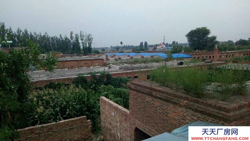 (出租) 張慶鄉(xiāng)演武村 倉庫 2000平米