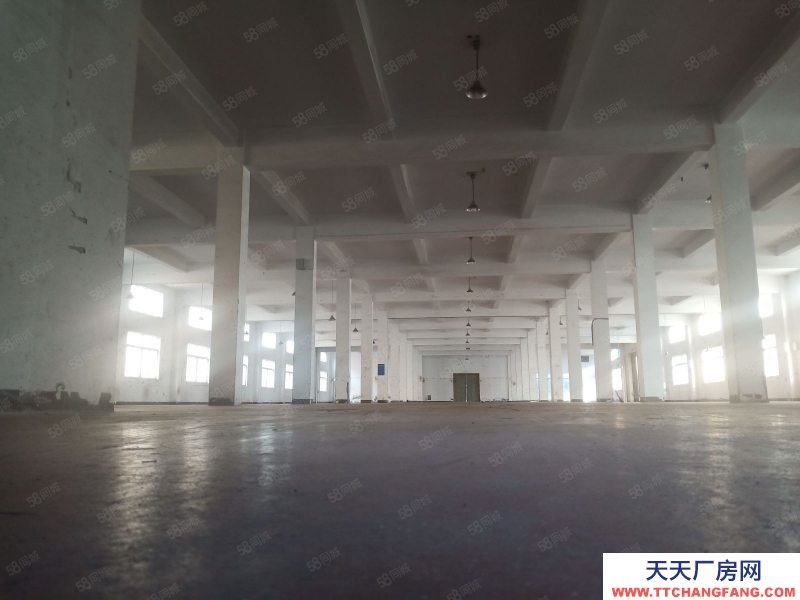 嘉興秀洲(出租) 水果建材市場附近500至10000平廠房倉庫出租