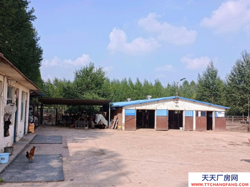 (出租) 養(yǎng)殖場(chǎng)在榆社縣和平村。養(yǎng)殖業(yè)優(yōu)選,方便養(yǎng)殖牛羊