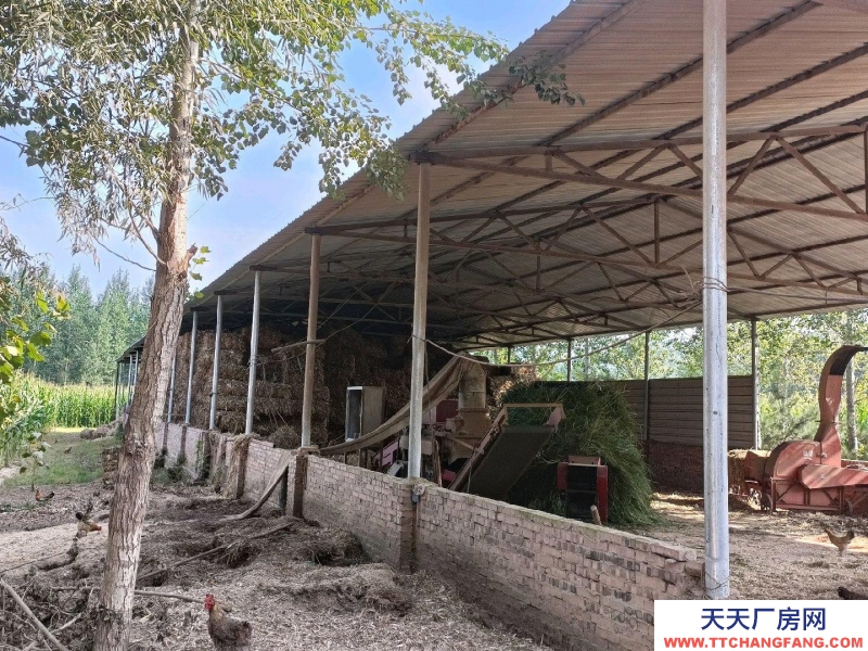 (出租) 養(yǎng)殖場(chǎng)在榆社縣和平村。養(yǎng)殖業(yè)優(yōu)選,方便養(yǎng)殖牛羊