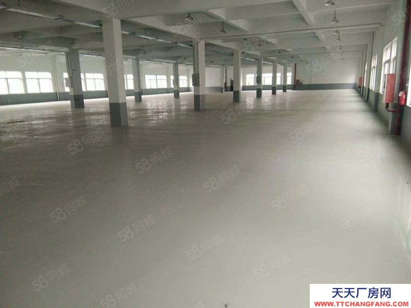 嘉興秀洲(出租) 秀洲高新區300至10000平廠房倉庫出租
