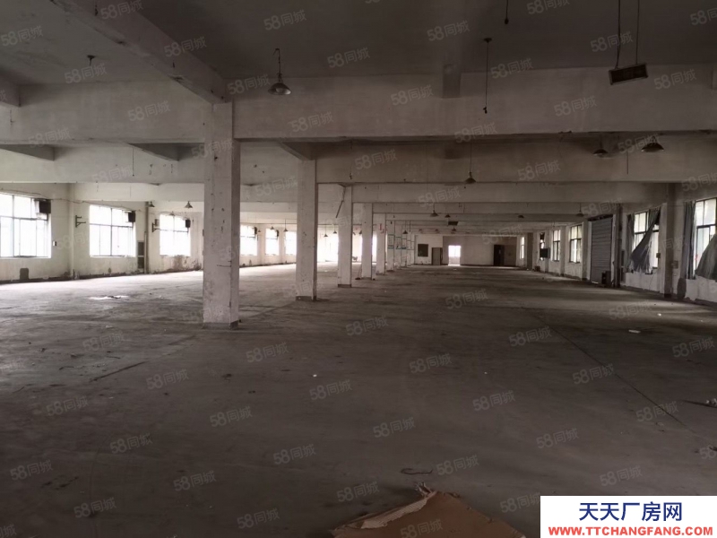 嘉興秀洲(出租) 高照街道 底樓500平 可做各類倉儲 小生產 門口好停車