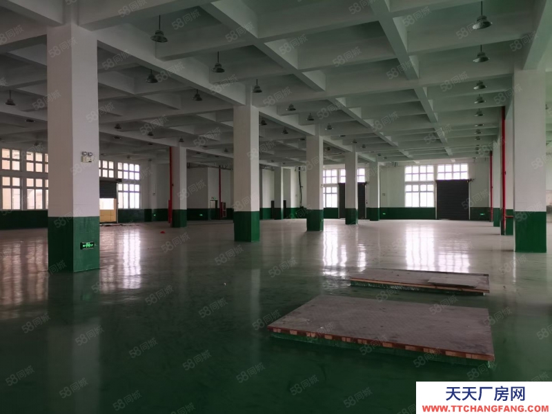 嘉興秀洲(出租) 王店底樓無產值要求500至10000平廠房倉庫出租