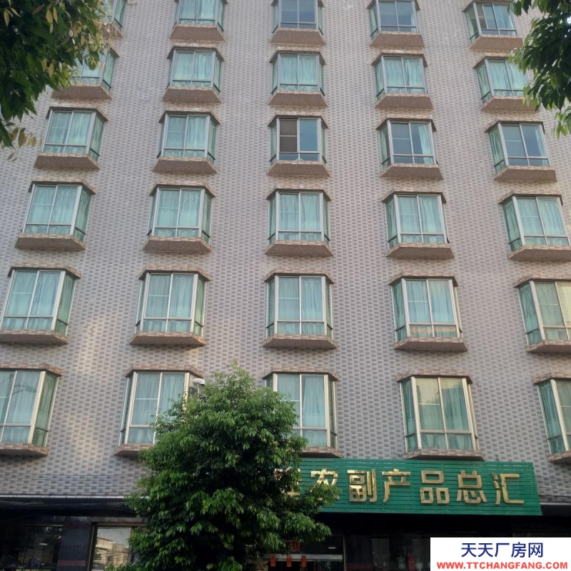 (出租) 清遠連南房屋整棟出租，單層無間隔460方一層